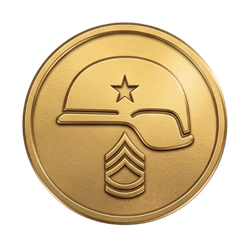 Military Service Status UL-PPL Course آکادمی هوانوردی وینگ