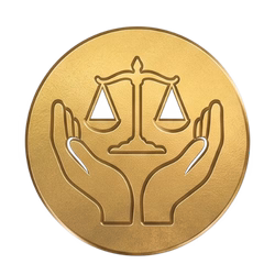 Responsibility icon مسؤول العمليات والتدريب على الطيران مهرداد صيادي آکادمی هوانوردی وینگ